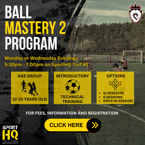 Ball Mastery Program 2